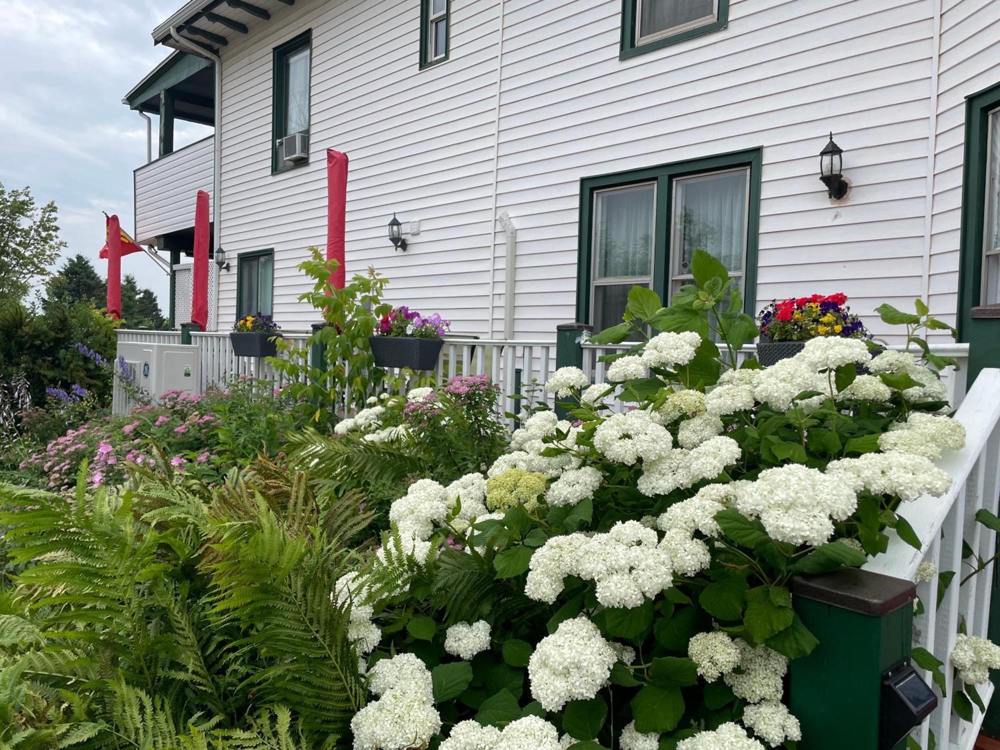 Prince County Guest House Miscouche Exterior foto